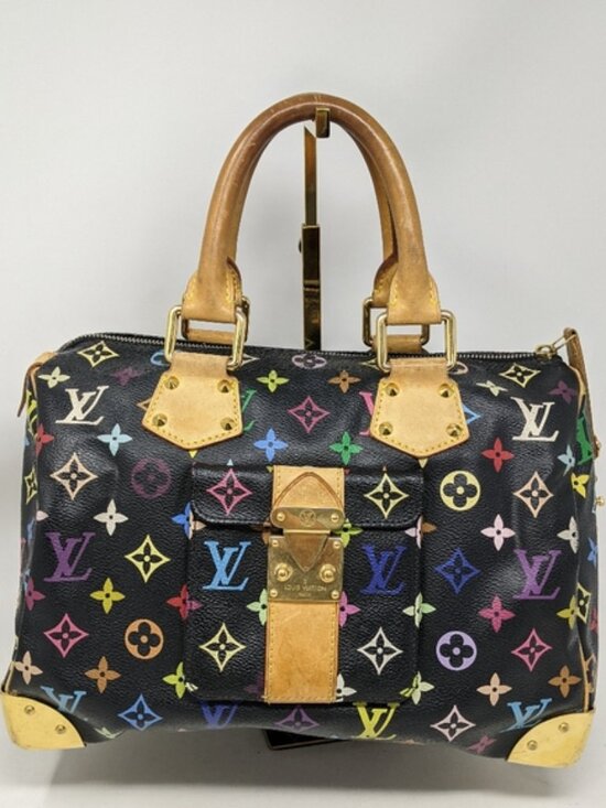 Louis Vuitton Handbags - LOUIS VUITTON Multicolor Speedy 30 Tote Bag